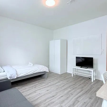 Fuer Firmen Und Monteure Apartment